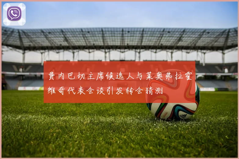 费内巴切主席候选人与莱奥弗拉霍维奇代表会谈引发转会猜测