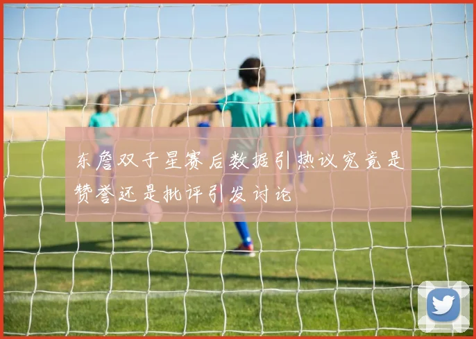 东詹双子星赛后数据引热议究竟是赞誉还是批评引发讨论