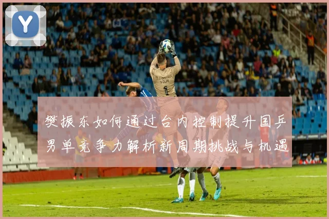 樊振东如何通过台内控制提升国乒男单竞争力解析新周期挑战与机遇