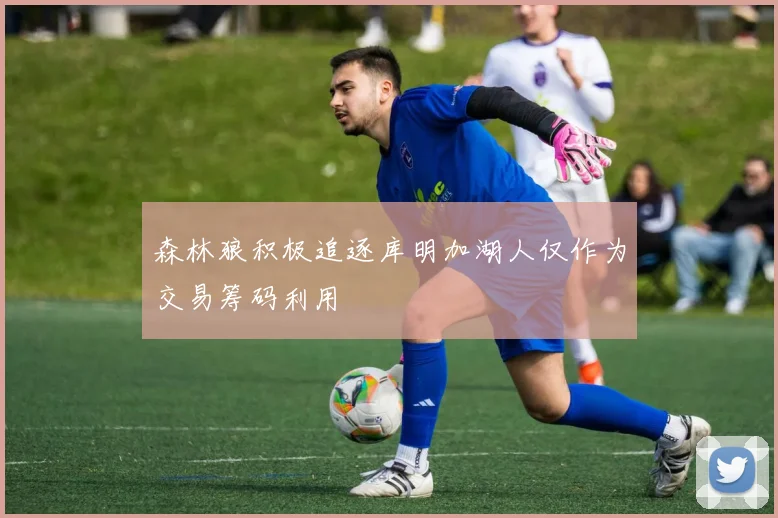 森林狼积极追逐库明加湖人仅作为交易筹码利用